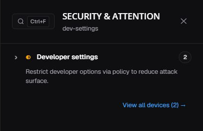 Developer settings summary in en-US