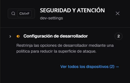 Resumen Configuración de desarrollador en es-ES