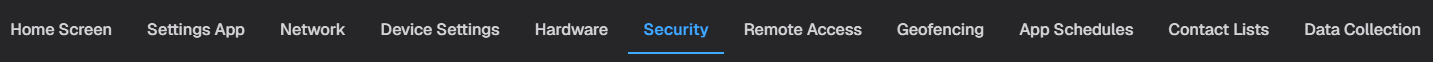 Security tab