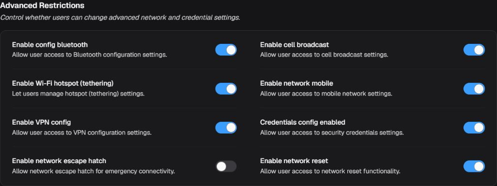 Advanced Restrictions box with eight access controls for network and credential settings
